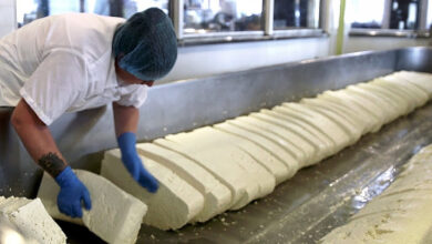 Πώς φτιάχνεται το τυρί